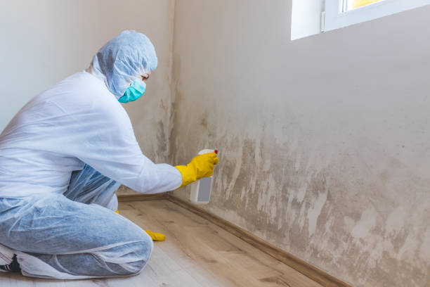 Mold Remediation specialist working in Wheeling
